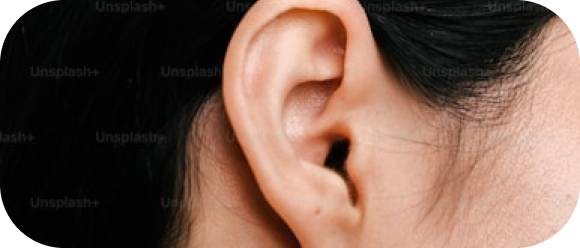 Auriculoterapia